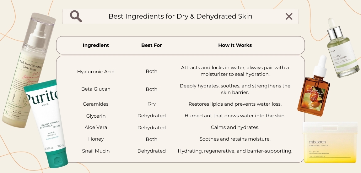 Best Ingredients for Dry & Dehydrated Skin