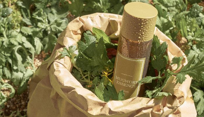 Mugwort in I'm From cosmetics